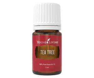 Tea tree essential oil